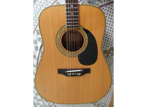 Maya (guitar) model FK 344 R (8972)