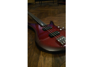Vigier Arpege Bass (1089)