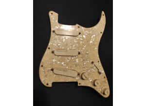 Lace Music Loaded Pickguard S/S/S in Golds (76875)