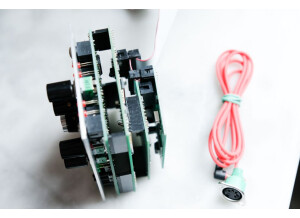 SDS Digital Reflex Liveloop (48784)