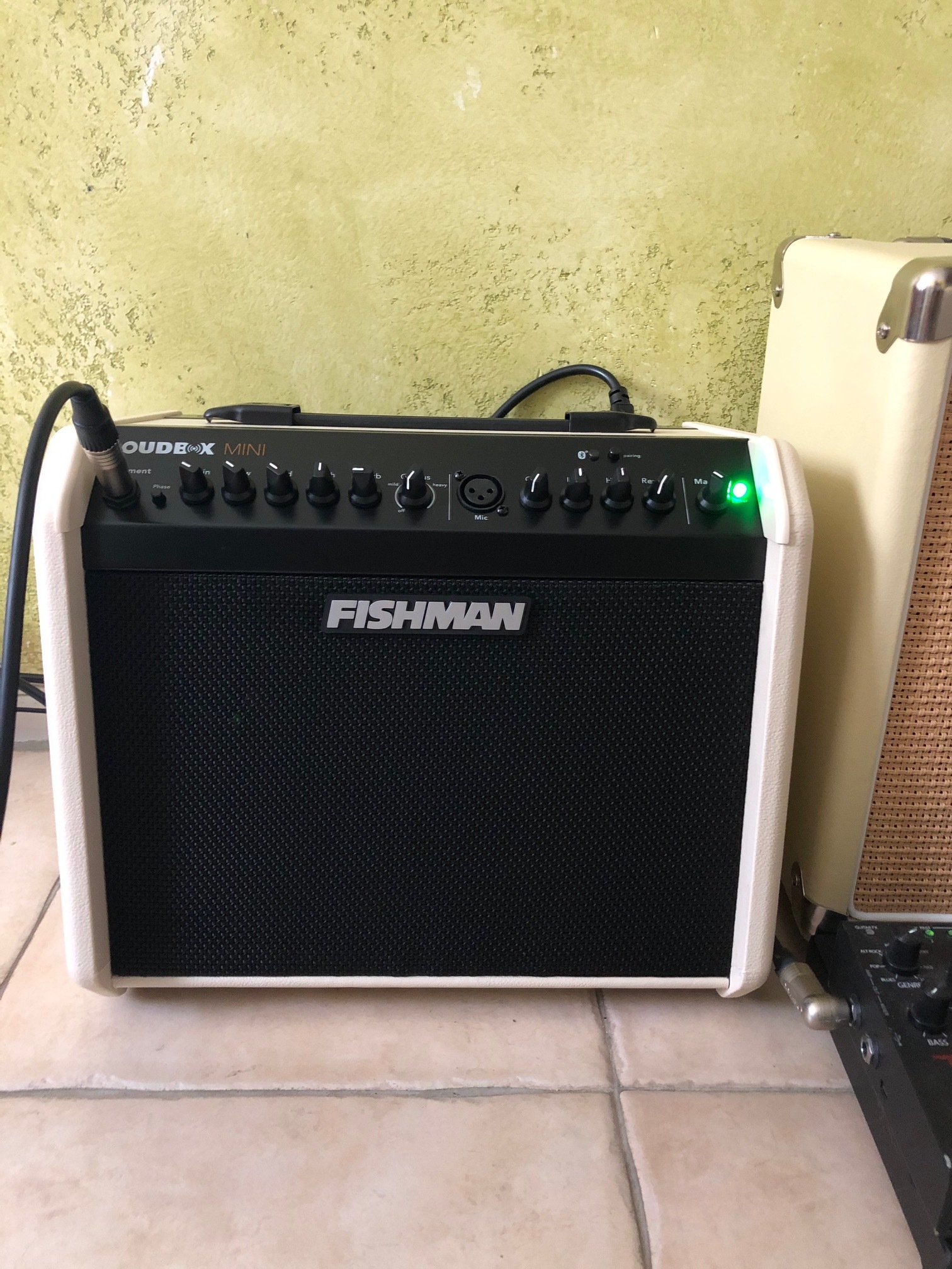Fishman Loudbox Mini (2019)