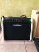 Fishman Loudbox Mini (2019)