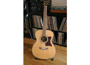 Tanglewood TW-170AS