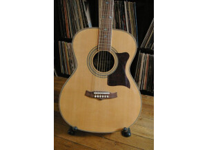 Tanglewood TW-170AS