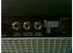 Fender Champion 110 (19763)