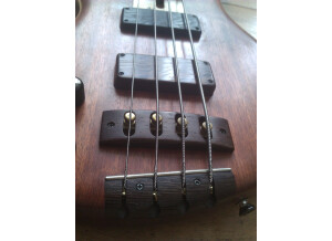 Noguera Expression 4 Cordes