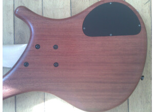 Noguera Expression 4 Cordes