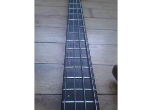 Noguera Expression 4 Cordes