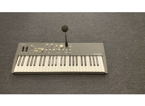 Waldorf STVC (55603)