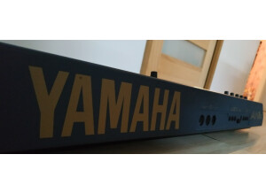 Yamaha AN1X (50134)