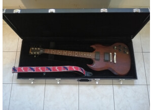 Gibson SGJ (32271)