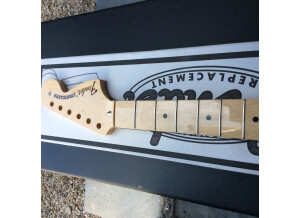 Fender Classic '70s Stratocaster (1560)