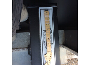 Fender Classic '70s Stratocaster (75562)
