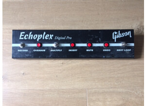 Gibson Echoplex