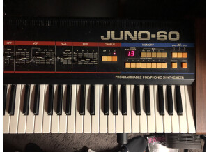 Roland JUNO-60 (22666)