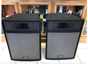 Peavey Pro 15 (80286)