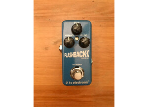 TC Electronic Flashback Mini (99247)