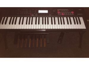 Korg Kross 2-61 (23494)
