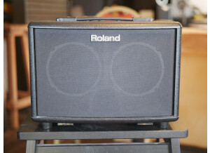 Roland AC-33 (18003)
