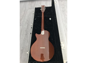 Fano Guitars SP6 (85759)