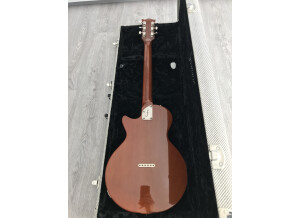 Fano Guitars SP6 (23038)