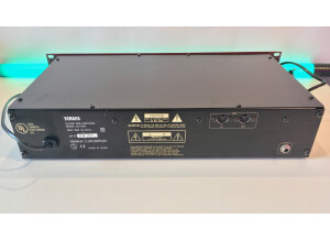 Yamaha DG1000 (67282)