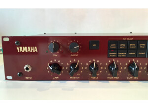 Yamaha DG1000