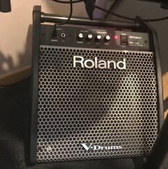 Roland PM-10