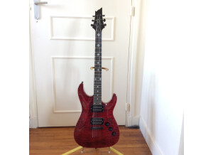 SR Guitars SRSS Master I (19396)