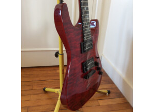 SR Guitars SRSS Master I (57062)