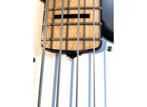 Fender Geddy Lee Jazz Bass (6350)