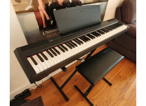 Yamaha P-105 (43751)