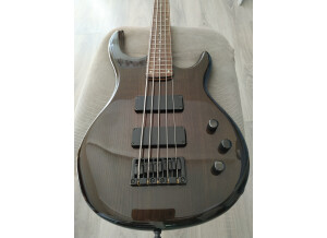 Epiphone Embassy Standard-V (23334)