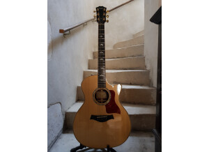 Taylor  814ce-LTD (31882)