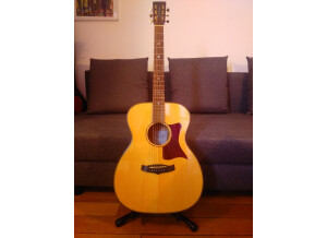 Tanglewood TW170 AS