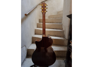 Taylor  814ce-LTD (79058)