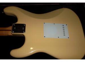 yngwie arriere cope.JPG