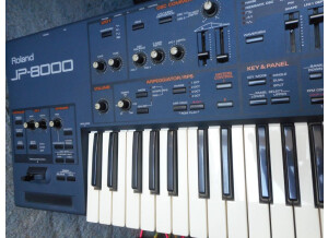 Roland JP-8000 (95708)