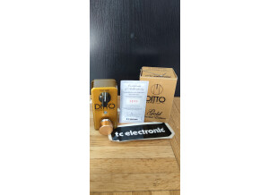 TC Electronic Ditto Looper Gold (44900)