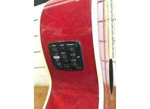 Washburn EA18 - Transparent Red (44461)
