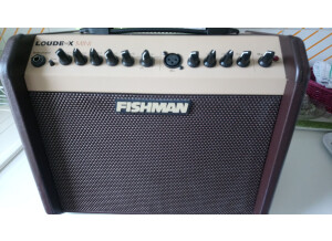 Fishman Loudbox Mini (33597)