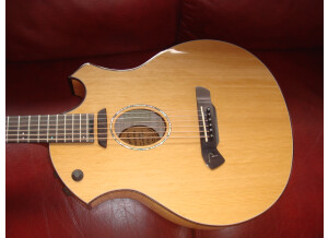 Parker Guitars P8E (81625)