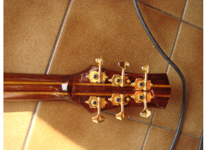Parker Guitars P8E (60877)
