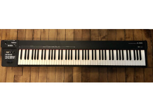 Roland A-88 (17181)