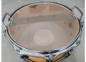 Sonor Designer Light Shell Snare