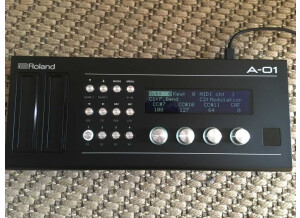 Roland A-01 (66605)