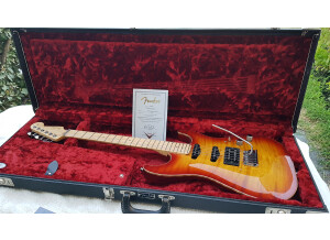 Gibson Les Paul Standard (1993) (10442)