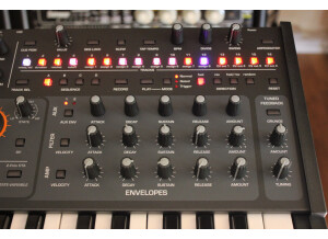 Pro3_2tof 008.JPG