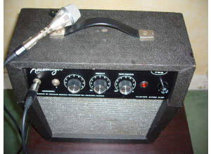 Gibson Kalamazoo 2 (17881)