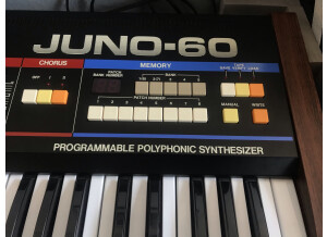 Roland JUNO-60 (49413)